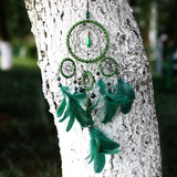 attrape reve vert