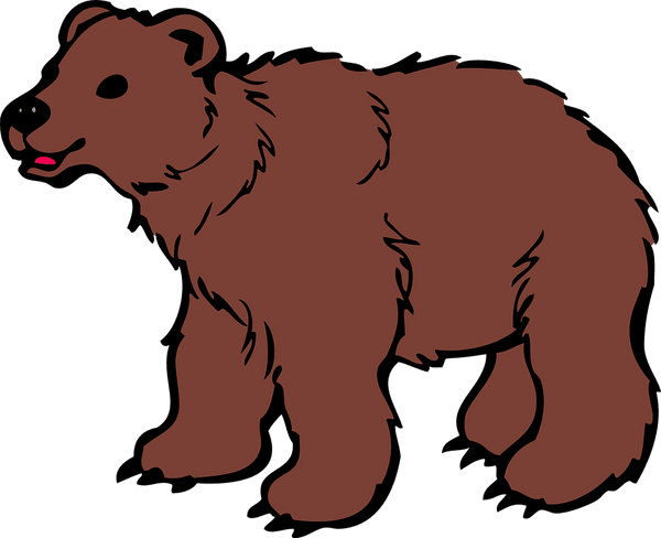 Rêver d'ours: Quelles significations?